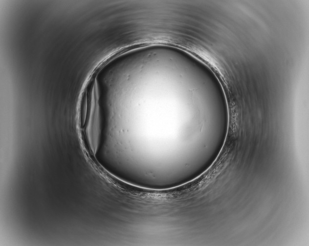 X0000094081088200711021509