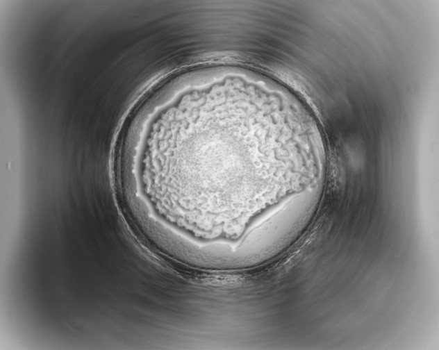 X0000094081090200711021509