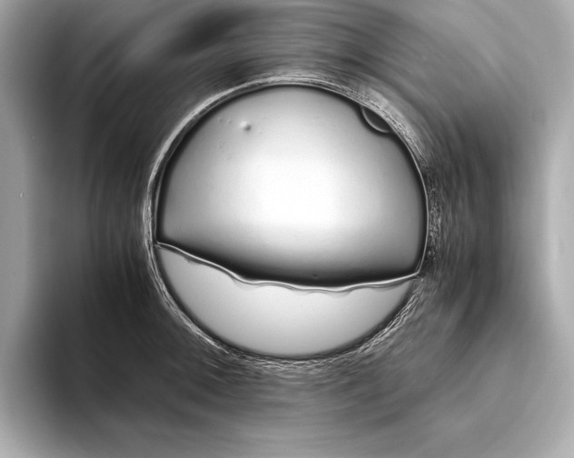 X0000094081092200711021509