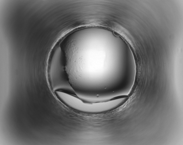 X0000094081093200711021509