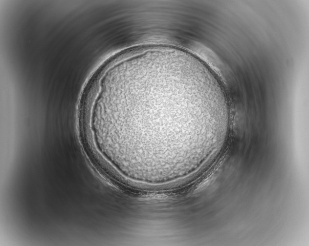 X0000094081094200711021509