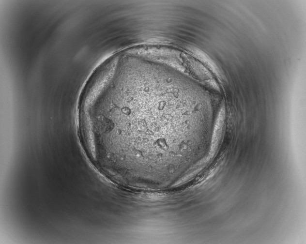 X0000094081095200711021509