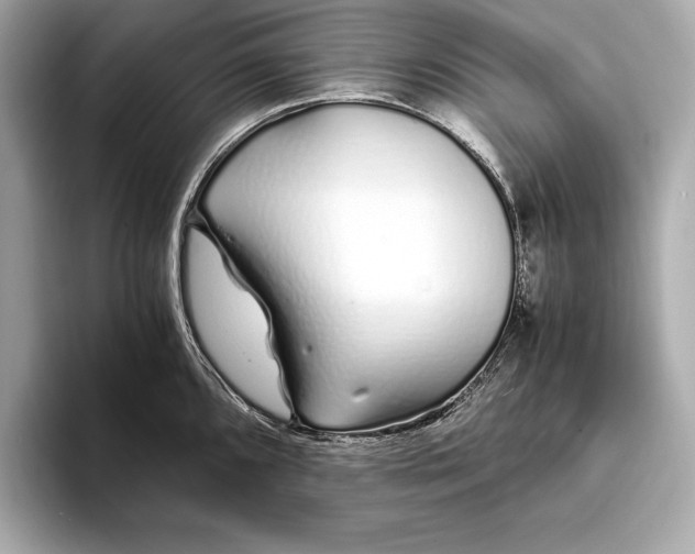 X0000094081096200711021509