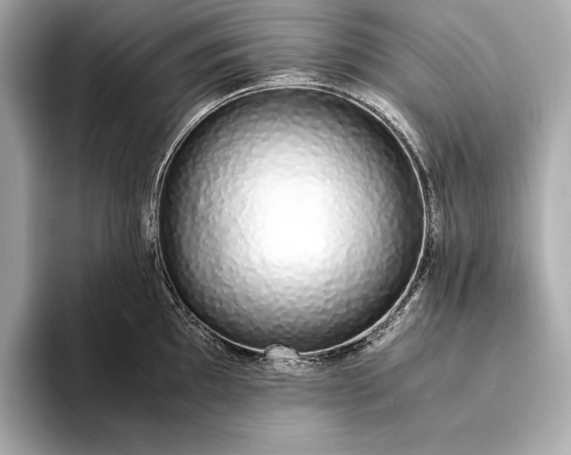 X0000094081097200711021509