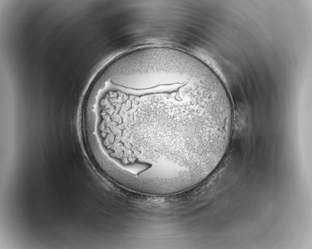 X0000094081098200711021509