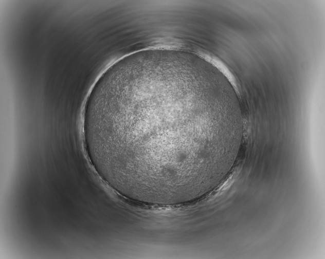 X0000094081099200711021509