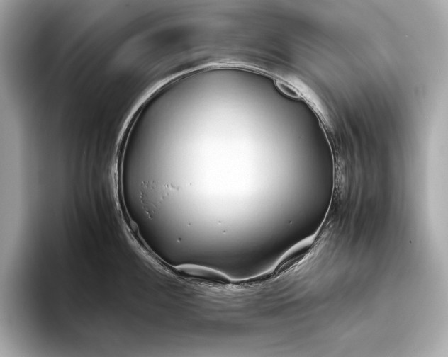 X0000094081100200711021509