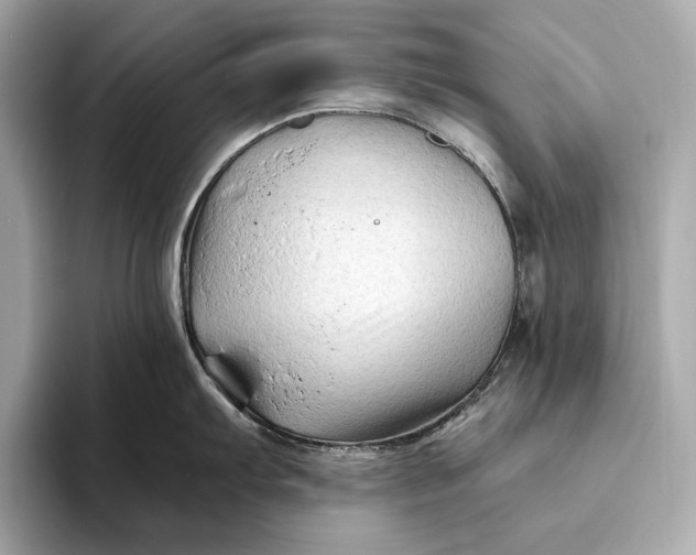 X0000094081103200711021509