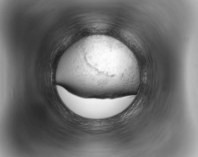 X0000094081108200711021508