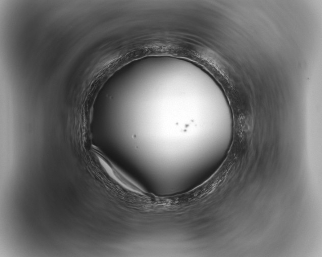 X0000094081111200711021508