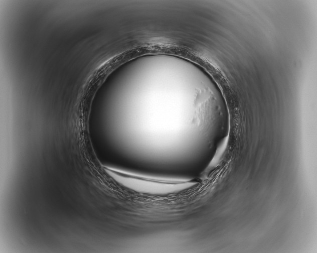 X0000094081112200711021508