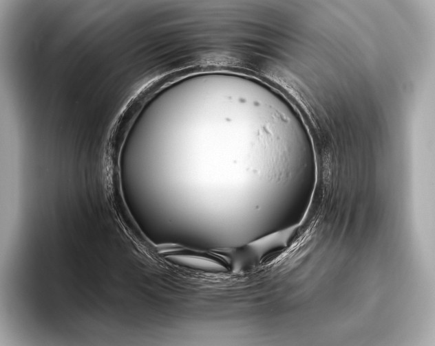 X0000094081115200711021508