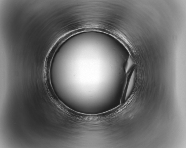 X0000094081116200711021508