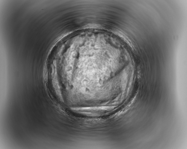 X0000094081117200711021508