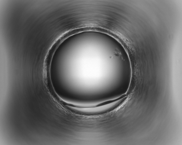 X0000094081118200711021508