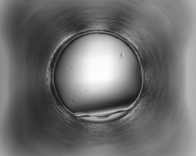 X0000094081119200711021508