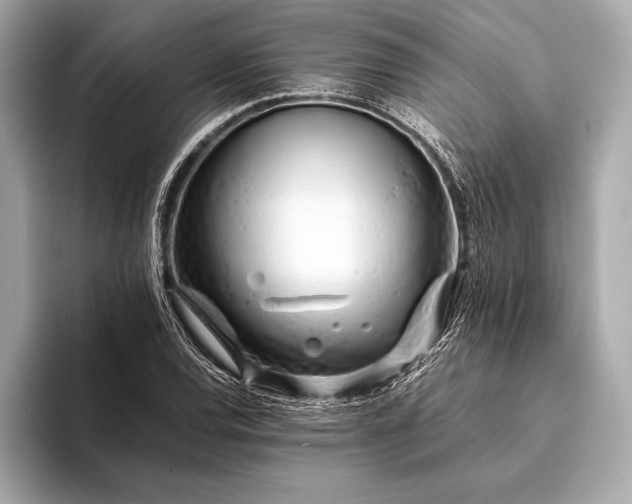 X0000094081120200711021508