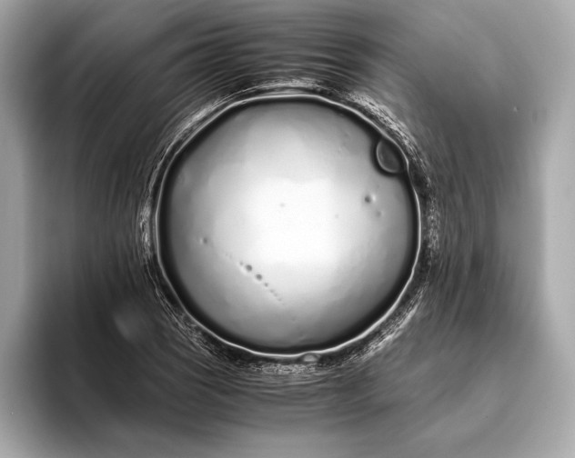 X0000094081121200711021508