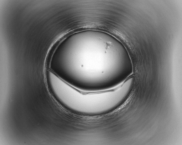 X0000094081122200711021508