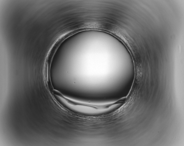 X0000094081123200711021508