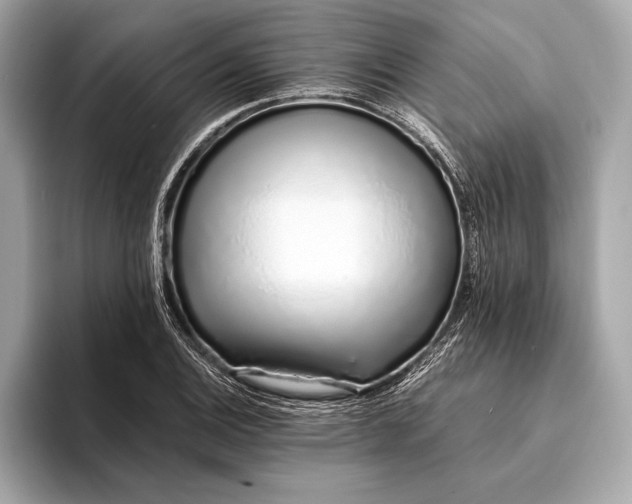 X0000094081124200711021508