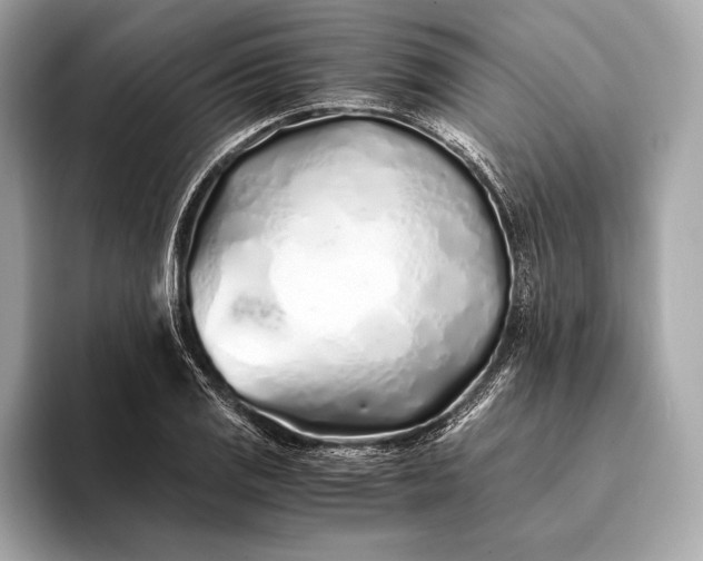 X0000094081125200711021508