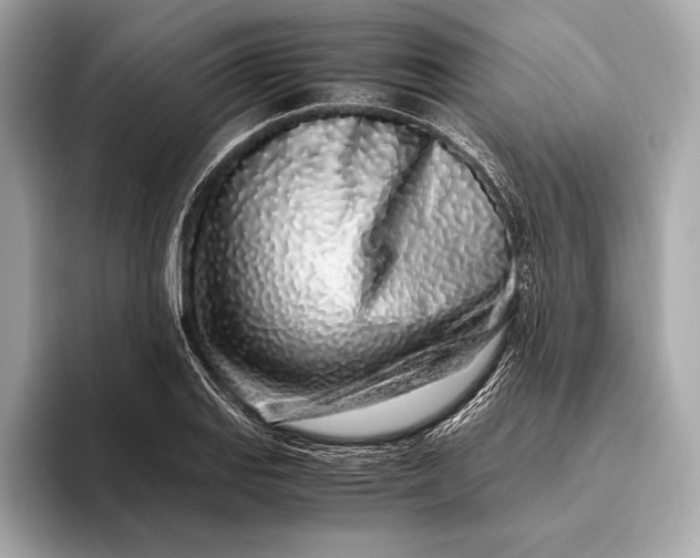 X0000094081127200711021508