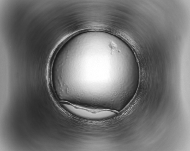 X0000094081128200711021508