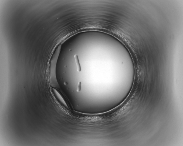 X0000094081129200711021508