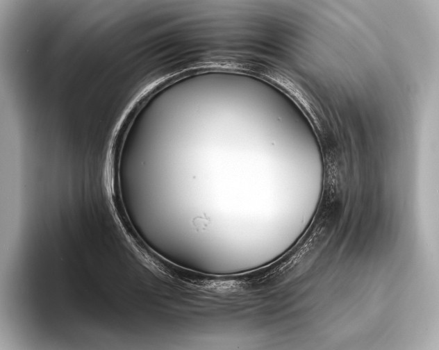 X0000094081131200711021508