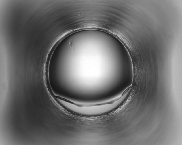 X0000094081134200711021508