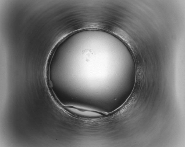 X0000094081135200711021508