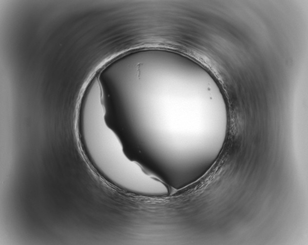 X0000094081136200711021508