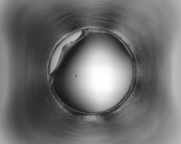 X0000094081137200711021508