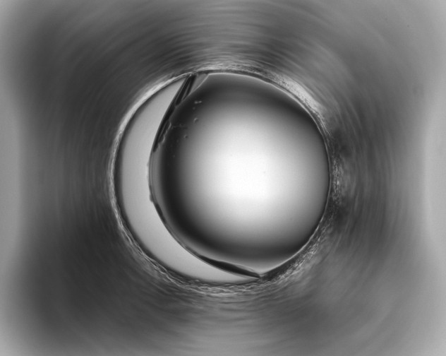 X0000094081138200711021508