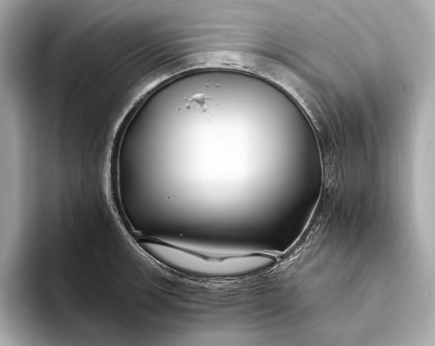 X0000094081139200711021508