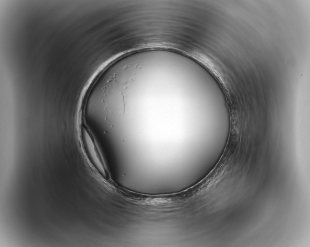 X0000094081140200711021508