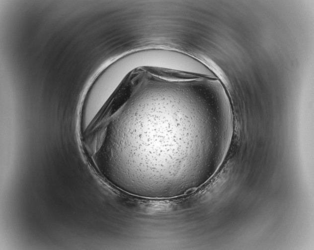 X0000094081144200711021508