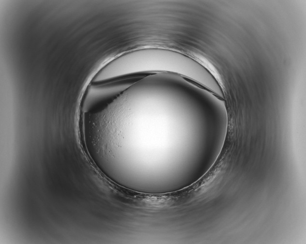 X0000094081146200711021508