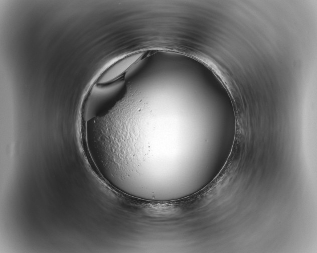 X0000094081147200711021508