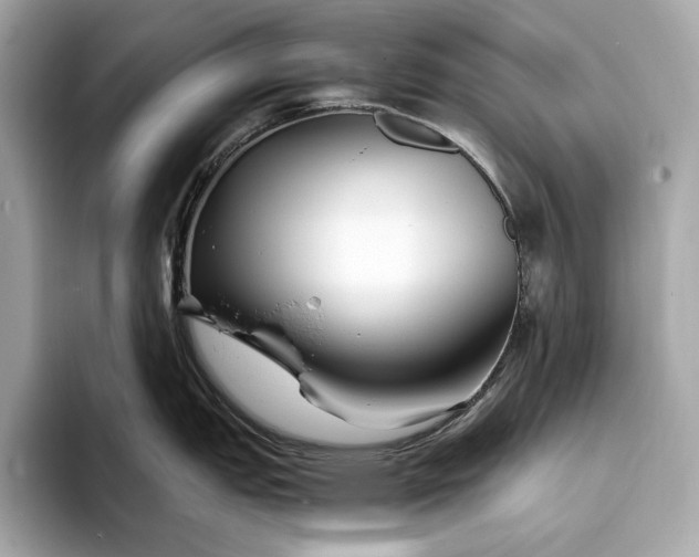 X0000094081151200711021509