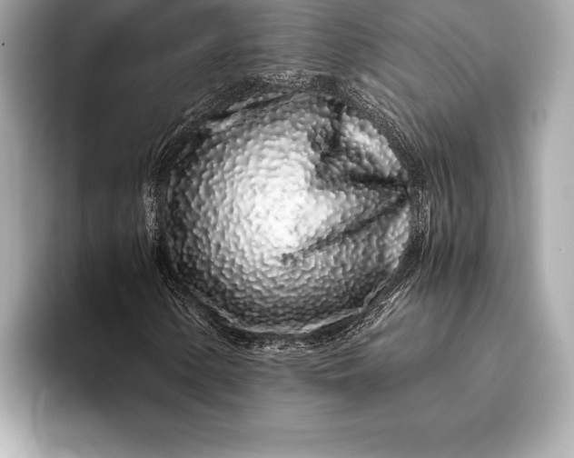 X0000094081154200711021508