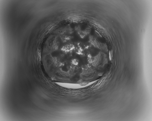 X0000094081155200711021508