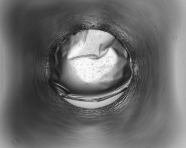 X0000094081156200711021508