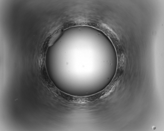 X0000094081157200711021508