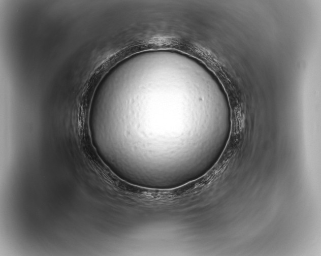 X0000094081158200711021508