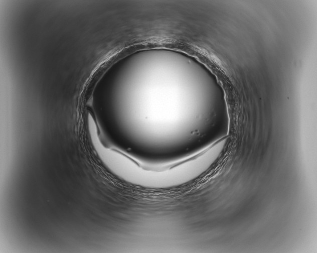 X0000094081160200711021508