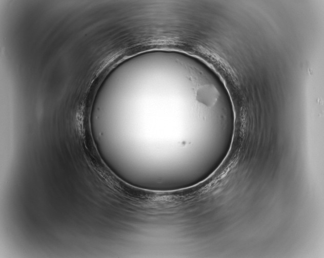 X0000094081162200711021508