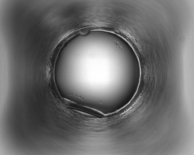 X0000094081163200711021508