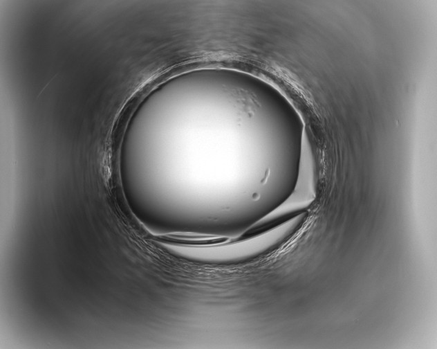 X0000094081165200711021508